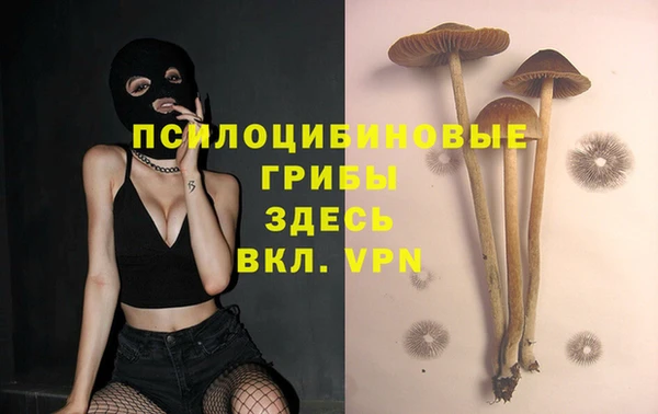 прущая мука Нефтегорск