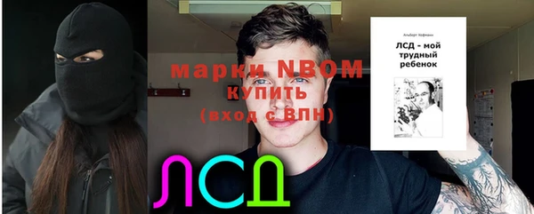 дживик Инсар