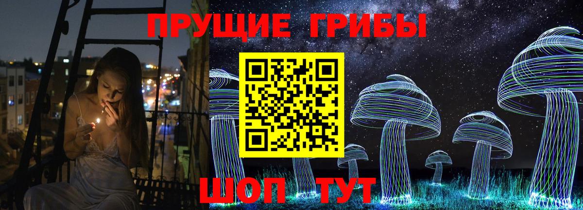 Псилоцибиновые грибы Psilocybe  Вход с VPN  Обнинск 